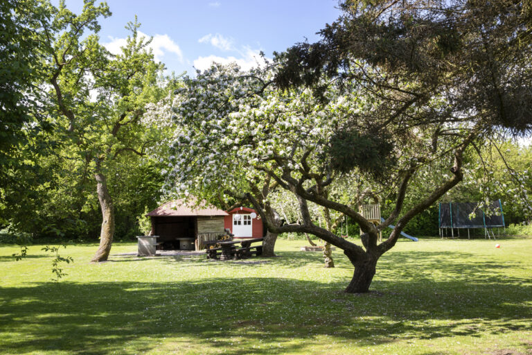 ad59e74d250ca0ce3156174d1a5e2517