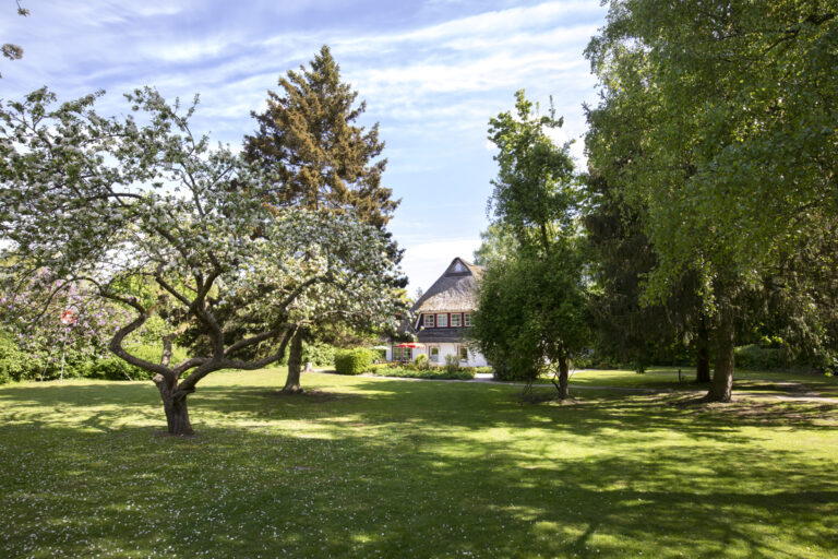 cd36b0f710b94d6f4c61af91de30e420